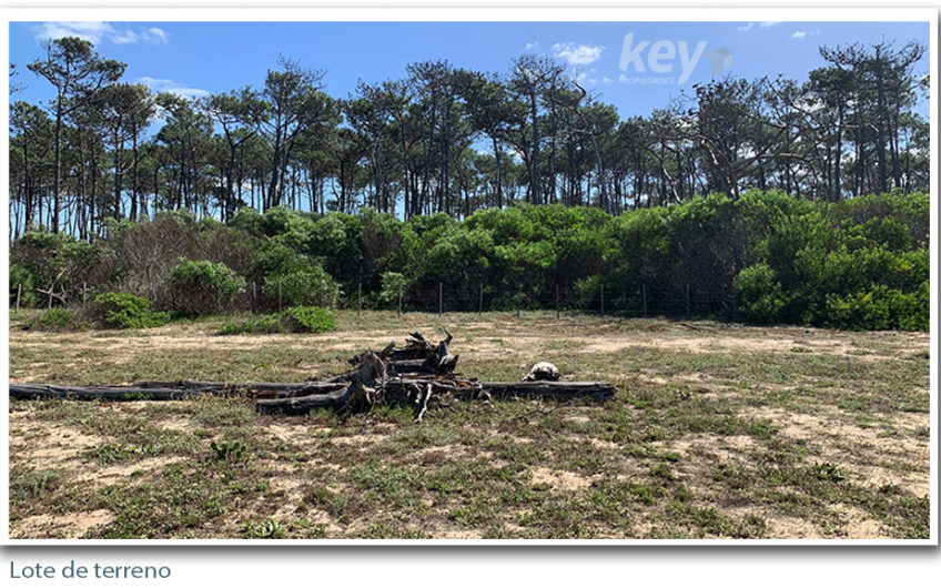 Lote de terreno en Laguna Garzón – El Caracol –  Uruguay.-